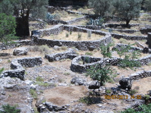 Samaria settlement