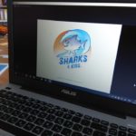 скайп с акулами