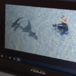 скайп с акулами